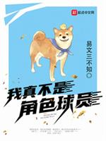 ���治�ǽ�ɫ��Ա
