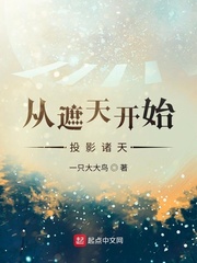 �����쿪ʼͶӰ����