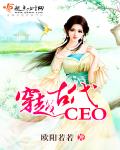 ��Խ�Ŵ�CEO