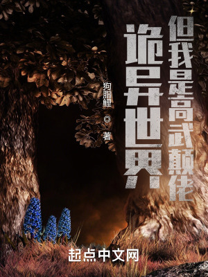 �������磬�����Ǹ������