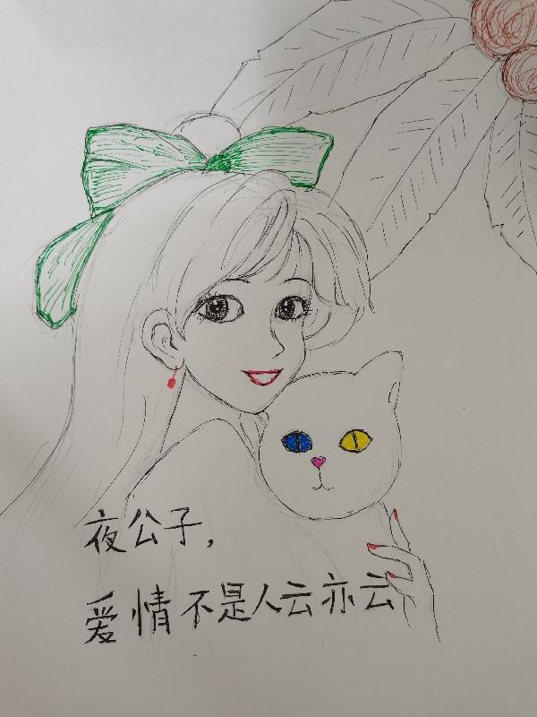 ҹ���ӣ����鲻����������