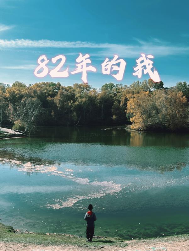 82�����