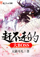 �ϲ��ߵĴ�BOSS