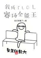 �ҳ���LOL����ȫ����
