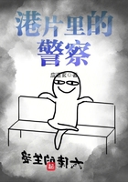 ��Ƭ��ľ���