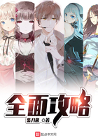 ȫ�湥��