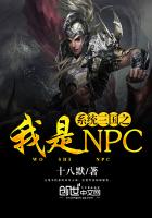 ϵͳ����֮����NPC