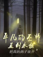 ƽ������ʦ��ֱ������