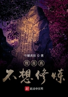 �����治������