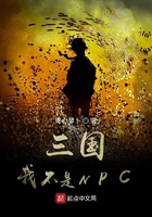 �����Ҳ���NPC
