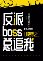 �촩֮����boss��׷��