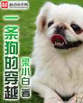 һ�����Ĵ�Խ