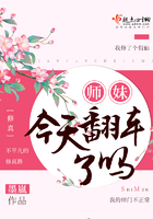 ʦ�ý��췭������