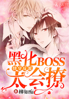 �촩���ɣ��ڻ�BOSS��̫����