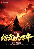 NPC�����������