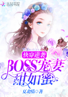�촩��Ϯ��BOSS���ޣ�������