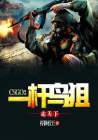 CSGO��һ�����������