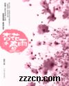 �ӻ�����