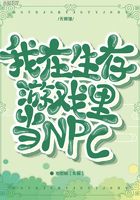 ����������Ϸ�ﵱNPC
