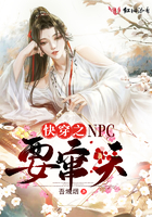 �촩֮npcҪ����