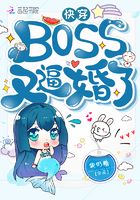 �촩BOSS�ֱƻ���