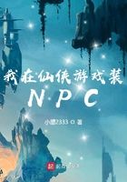 ����������ϷװNPC