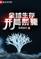 ȫ�����棺���ֱ���