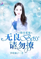�촩ϵͳ������BOSS������