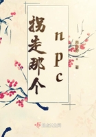 �����Ǹ�npc