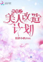 �촩֮���˸���ƻ�
