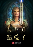 NPC�췴��