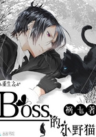 ����֮boss��СҰè