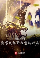 ʢ�缼�ܴ�����������