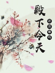 ���½��컹������