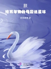�ޣ�������ǰ��ĸ��������