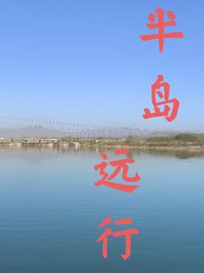 �뵺Զ��