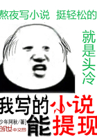 ��д��С˵������