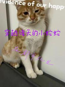 ��Խ�����С�����ڶ��л���