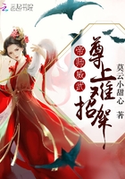 ��ʦ���䣬�������м�