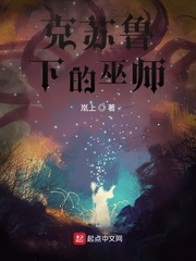 ����³�µ���ʦ