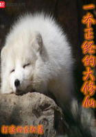 һ�������Ĵ�����
