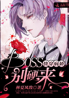�촩������BOSS����Ӳ��
