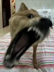 �������ռ�