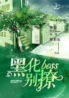 �촩���ڻ�boss����