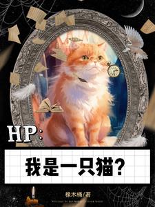 HP������һֻè��
