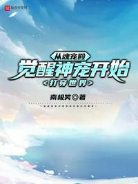 �ӻ��������迪ʼ������