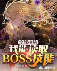 ȫ����ɱ:���ܶ�ȡBOSS����