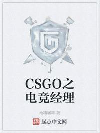 CSGO֮�羺����