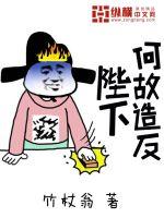 ���ºι��췴