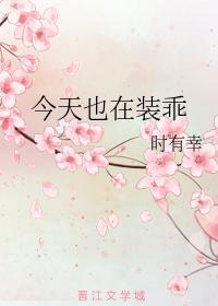 ����Ҳ��װ��